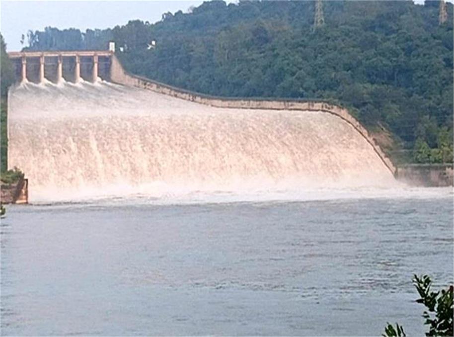 Pong Dam का पानी खतरे के निशान के पार! BBMB ने खोले गेट, कई गांवों में बाढ़