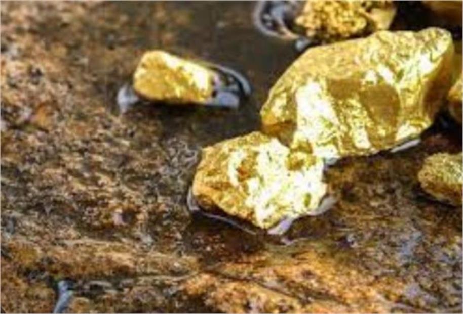 सिंगरौली की धरती पर सोने का खजाना! चितरंगी ब्लॉक से निकलेगा 18 हजार टन सोना