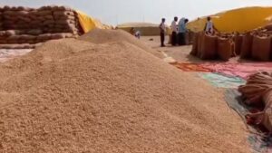छत्तीसगढ़ में 22 लाख मीट्रिक टन से ज्यादा की धान खरीदी, 1 लाख 52 हजार क्विंटल अवैध धान जब्त