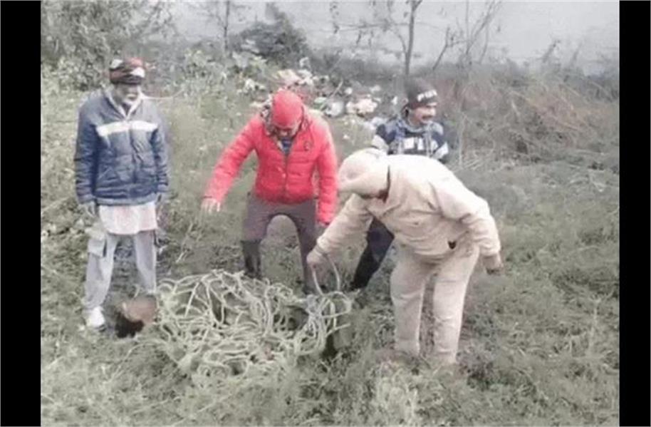 Jalandhar के रिहायशी इलाके में घुसा सांभर, वन विभाग ने किया रेस्क्यू