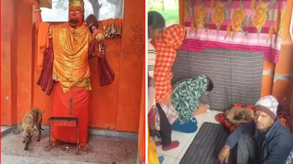 भक्ति या बीमारी? मूर्तियों की परिक्रमा कर रहे कुत्ते को लोगों ने माना ‘चमत्कार’, डॉक्टर ने खोला चौंकाने वाला राज