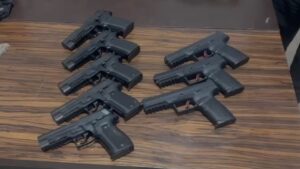 Palamu News: पलामू में शस्त्र लाइसेंसों की समीक्षा शुरू, आपराधिक इतिहास वाले लोगों पर गिरेगी गाज