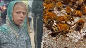 Kanchan Bai Sacrifice: आंगनबाड़ी कार्यकर्ता कंचन बाई ने 20 बच्चों के लिए दे दी जान, मधुमक्खियों के हमले से बचाते हुए हुई मौत