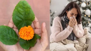 बेल पत्र के फायदे: इन 5 तरीकों से करें बेल पत्र का इस्तेमाल, सेहत और स्वाद दोनों में है लाजवाब