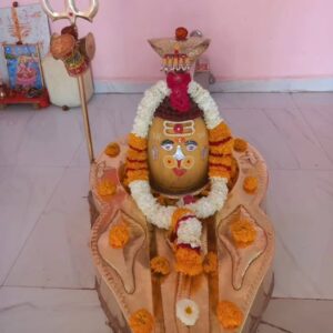 खंडवा: नंद विहार कॉलोनी में महाशिवरात्रि पर मनेगा भव्य महोत्सव, नेपाली रुद्राक्ष का होगा वितरण