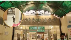 इंदौर के MY अस्पताल का बुरा हाल! मरीजों की OPD में बिल्ली ने दिया 3 बच्चों को जन्म, डीन का जवाब सुन रह जाएंगे हैरान