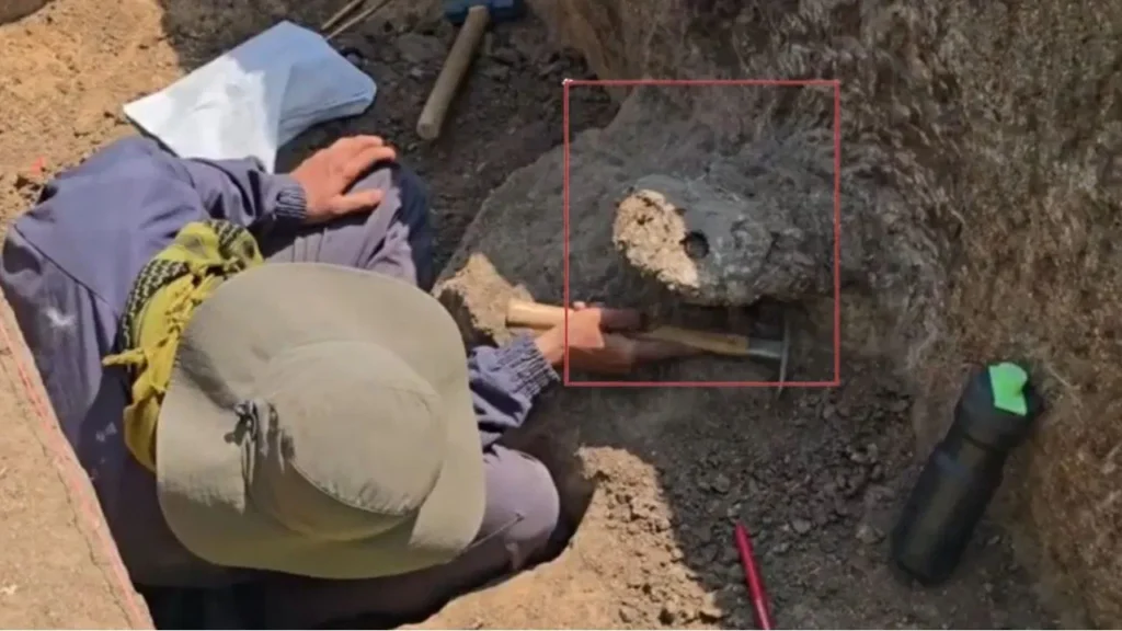 Ancient India: पाषाण युग का रहस्य! कर्नाटक की खुदाई में मिले 5000 साल पुराने साक्ष्य, हैरान कर देगी यह खोज