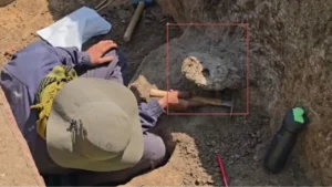 Ancient India: पाषाण युग का रहस्य! कर्नाटक की खुदाई में मिले 5000 साल पुराने साक्ष्य, हैरान कर देगी यह खोज