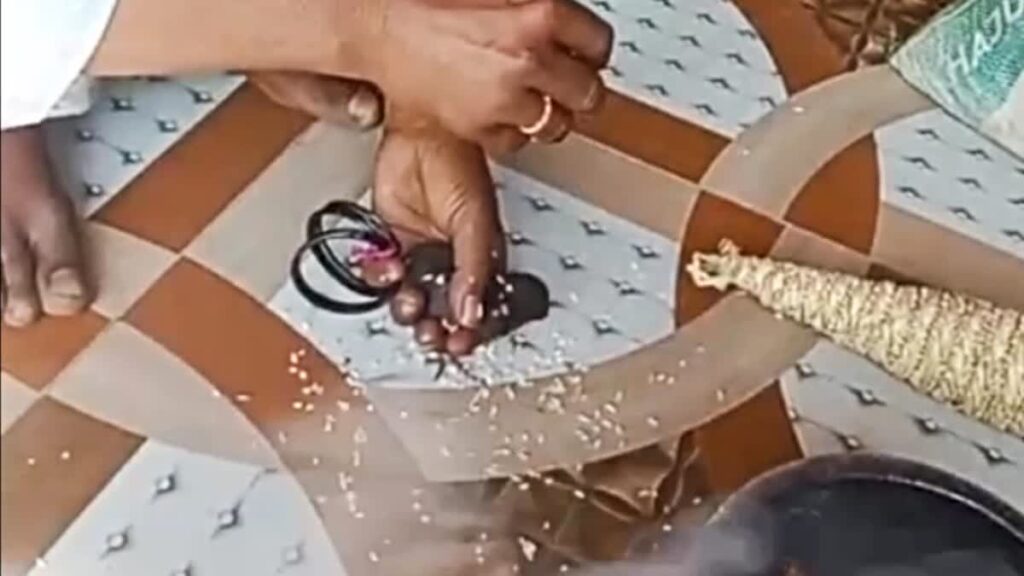 Janakpur News: गांव को महामारी से बचाने के लिए अनोखी रस्म, जानें होली से पहले क्यों छोड़ी जाती है मुर्गी