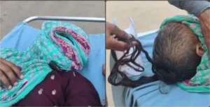 Nuh Crime News: नूंह में विवाहिता के साथ ससुराल पक्ष की बर्बरता, नशीला पदार्थ पिलाकर बाल काटने का आरोप; 5 के खिलाफ FIR दर्ज