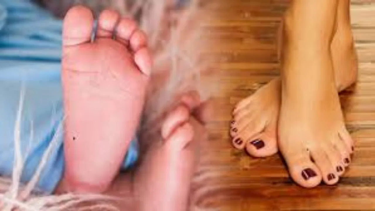 Samudrik Shastra: पैरों के तलवों से जानें अपना भविष्य, ये चिह्न देते हैं राजा जैसी जिंदगी का संकेत; क्या आपके पैर में भी है ‘शंख’?