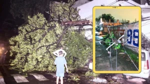 Gautam Buddha Nagar Power Cut: नोएडा-ग्रेटर नोएडा में आंधी का कहर, 150 बिजली पोल धराशायी; 16 गांवों में अंधेरा, मरम्मत जारी