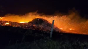 Charkhi Dadri Fire: चरखी दादरी के खेतों में लगी भीषण आग, कई जिलों की फायर ब्रिगेड ने घंटों की मशक्कत बाद पाया काबू