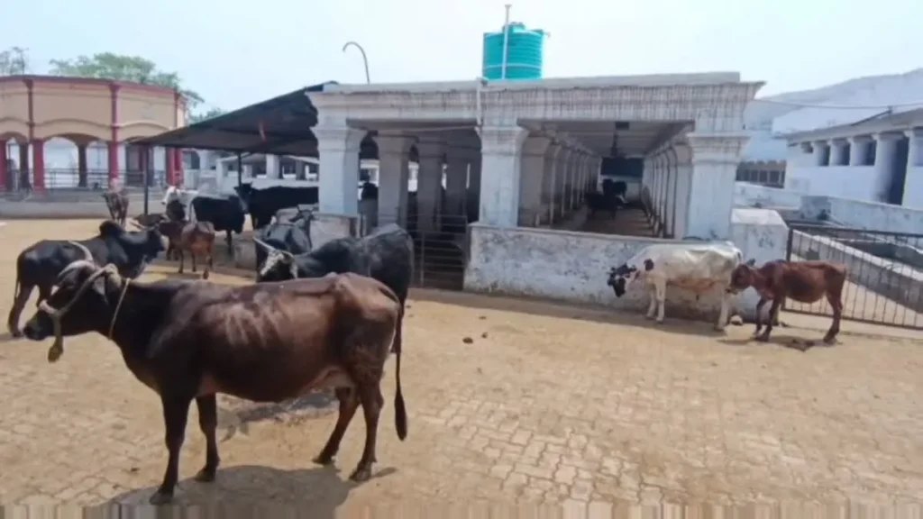 लाखों का बजट और चौपाटी बनी पार्किंग! कोरिया के शिवपुर चरचा में सरकारी पैसे की बर्बादी का ‘लाइव’ नजारा
