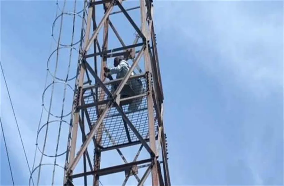 Sonipat High-Voltage Drama: पेंशन न मिलने से टूटा सब्र, मोबाइल टावर पर चढ़ा बुजुर्ग; प्रशासन के हाथ-पांव फूले