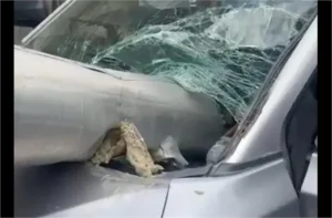 Punjab Road Accident: चलती कार पर गिरा लोहे का भारी खंभा, शीशा तोड़कर घुसा अंदर; बाल-बाल बचे यात्री