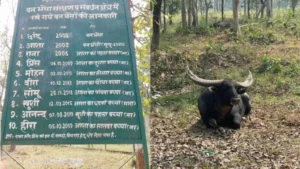 20 साल का साथ और आँखों में अंधेरा: बूढ़े ‘छोटू’ की जंगल में विदाई, रो पड़ीं सबकी आंखें