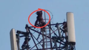 Jeth-Bahu News: जेठ के प्यार में टॉवर पर चढ़ी बहू, नीचे खड़े लोग रह गए दंग; हाई वोल्टेज ड्रामा देख पुलिस भी हैरान