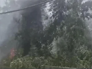 Jalandhar Fire News: जालंधर में आग का तांडव! आसमान में दूर-दूर तक दिखीं लपटें, मौके पर दमकल की कई गाड़ियां