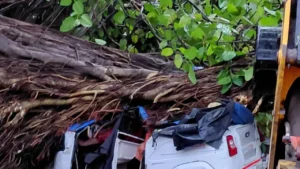 कानपुर में तेज आंधी-तूफान का तांडव! ऑटो पर गिरा बरगद का पेड़, 2 की मौत