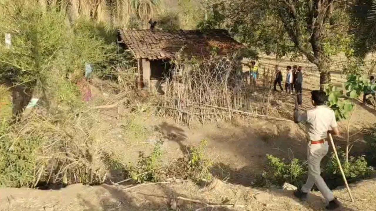 Udaipur Crime: बहन की मौत का बदला! जीजा को घर से अगवा कर जंगल ले गया साला, पत्थरों से सिर कुचलकर की निर्मम हत्या