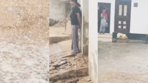 Noida Weather Update: नोएडा में बदला मौसम का मिजाज, आंधी-बारिश ने दी दस्तक; किसानों के चेहरे पर छाई मायूसी