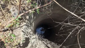 जमानत पर छूटे अपहरण के आरोपी की बेरहमी से हत्या, पीड़िता के परिवार ने फोड़ डाली आंखें; कुएं में फेंका शव