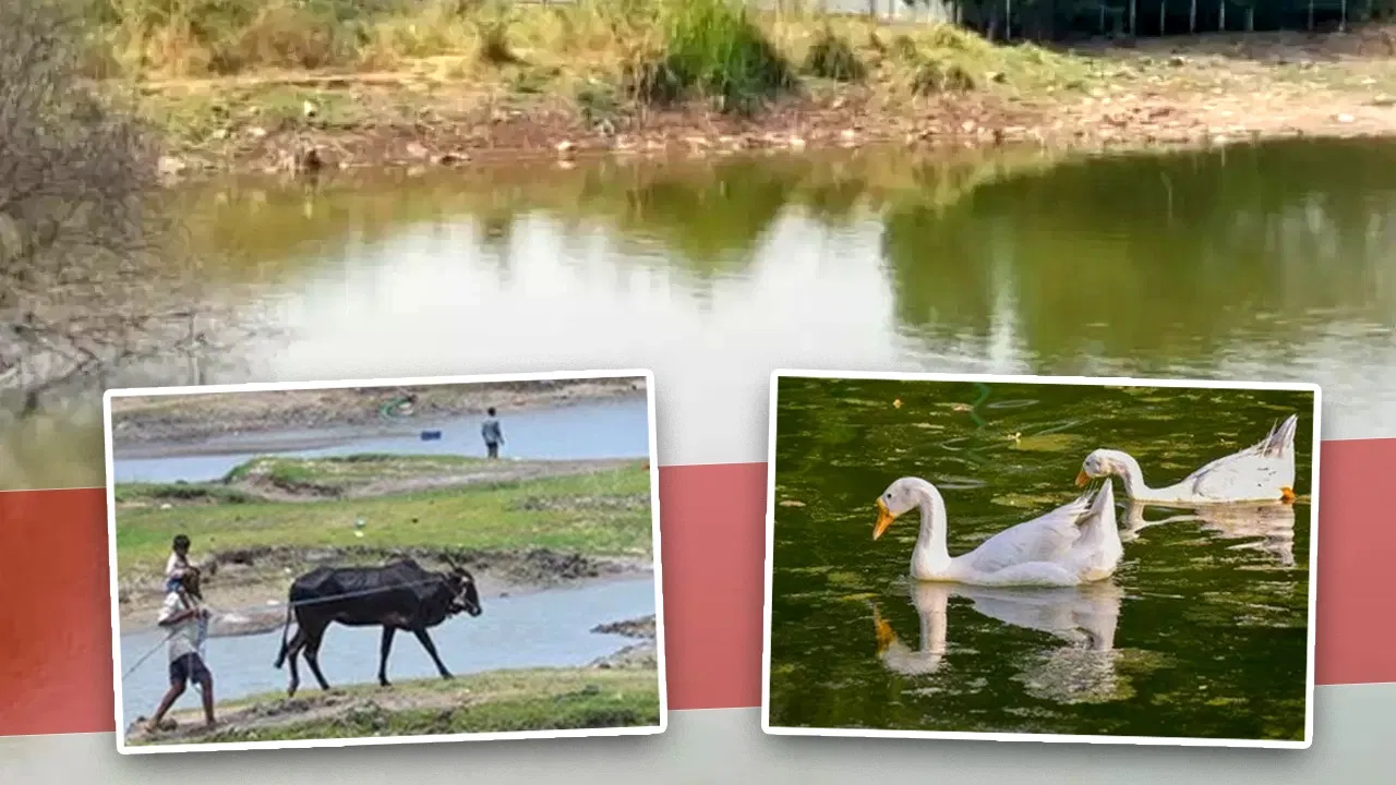 Bihar Water Crisis: बिहार में कहां गायब हो गए 9 हजार तालाब और झीलें? जल गणना की रिपोर्ट में हुआ चौंकाने वाला खुलासा