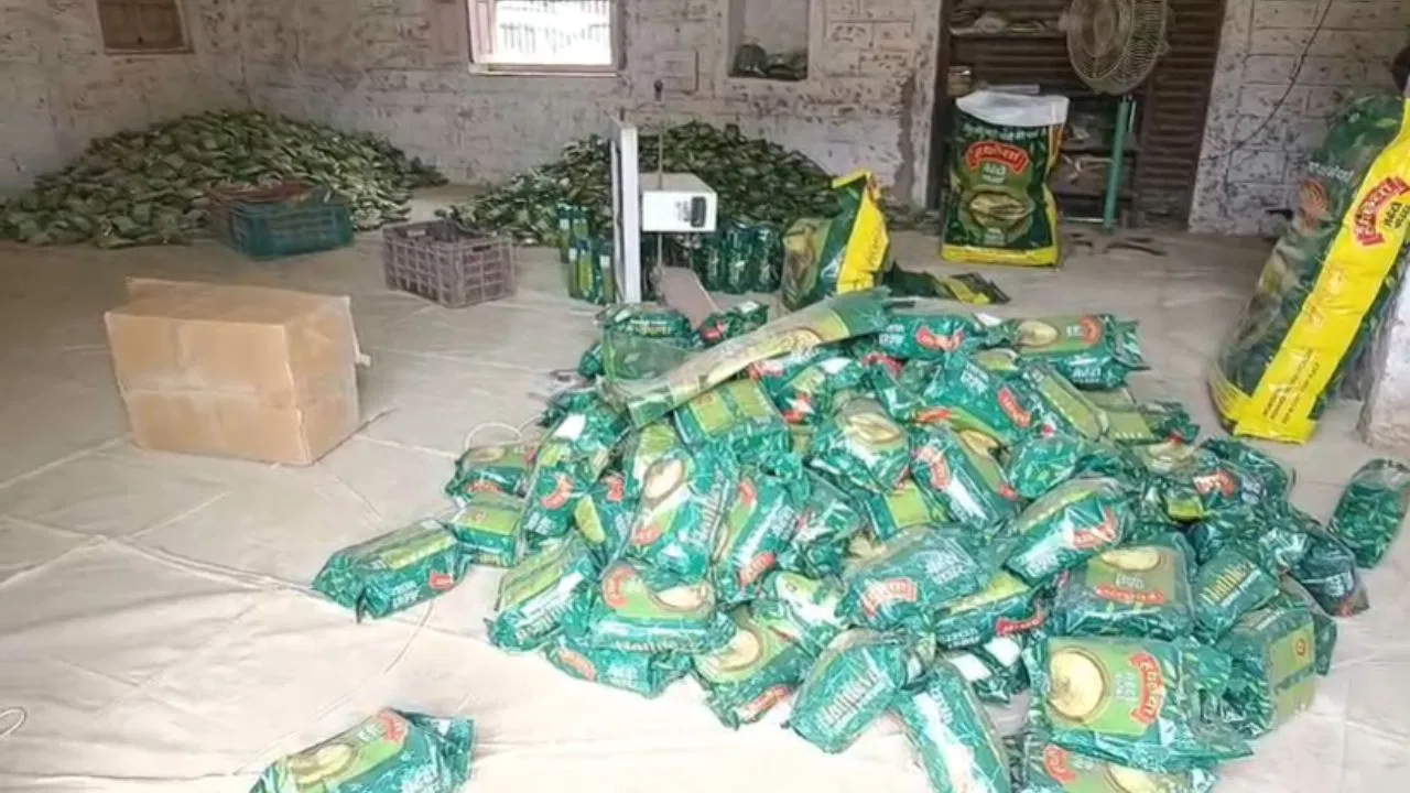 Rajasthan Mehndi Crisis: 250 करोड़ का घाटा! मिडिल ईस्ट की जंग ने फीकी कर दी राजस्थान की मेहंदी; बंद होने की कगार पर हजारों यूनिट्स