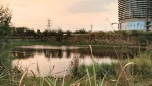 Noida News: हादसा या हत्या? एमिटी छात्र हर्षित की संदिग्ध मौत पर पोस्टमार्टम रिपोर्ट ने चौंकाया, जांच में जुटी पुलिसNoida News: हादसा या हत्या? एमिटी छात्र हर्षित की संदिग्ध मौत पर पोस्टमार्टम रिपोर्ट ने चौंकाया, जांच में जुटी पुलिस