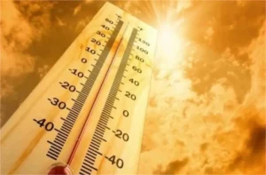 MP Weather Update: मध्य प्रदेश के 31 जिलों में भीषण लू की चेतावनी, 45 डिग्री तक पहुंचेगा पारा; जानें मौसम का हाल