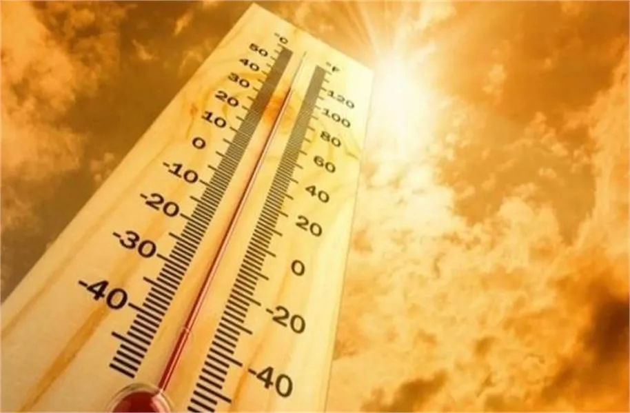 MP Weather Update: मध्य प्रदेश के 31 जिलों में भीषण लू की चेतावनी, 45 डिग्री तक पहुंचेगा पारा; जानें मौसम का हाल