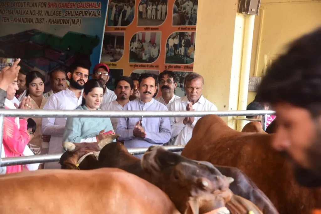 श्री गणेश गौशाला में संत दीदी कृष्ण प्रियाजी ने की गौ पूजा, किया गया गुड़ से तुलादान