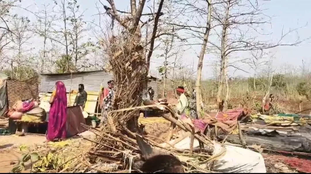 42 डिग्री तापमान में प्रशासन का एक्शन, ओंकारेश्वर में ढाई एकड़ सरकारी जमीन कराई गई अतिक्रमण मुक्त