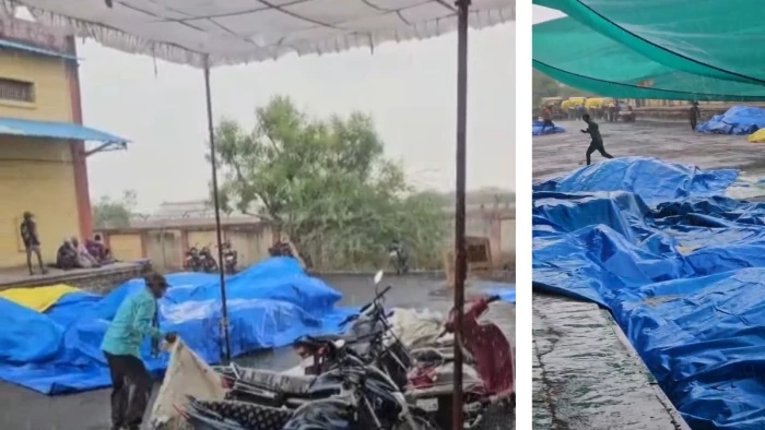 Barwani Weather Update: बड़वानी में बदला मौसम का मिजाज; तेज हवा के साथ बारिश, वेयर हाउस के बाहर रखा सैकड़ों क्विंटल गेहूं भीगा