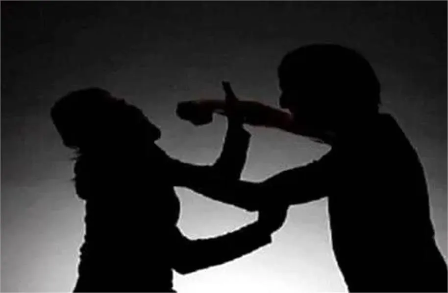 Crime News: शराब की लत ने उजाड़ा घर; नशेड़ी घर जमाई ने पत्नी और सास पर किया जानलेवा हमला, दोनों अस्पताल में भर्ती