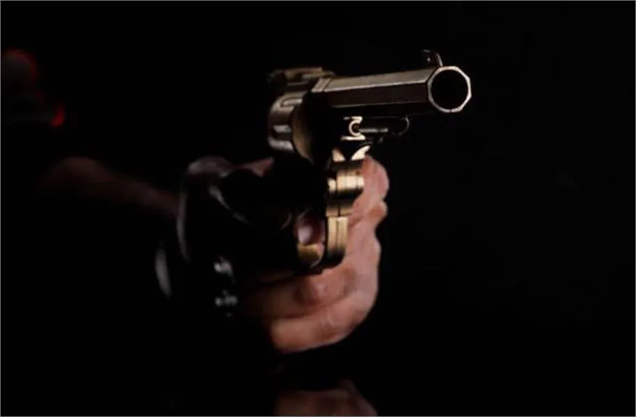 Ludhiana Crime News: किचलू नगर में मेडिकल होलसेलर के घर पर फायरिंग, CCTV में कैद हुई वारदात
