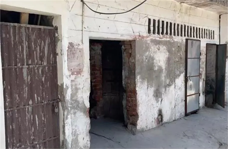 Jalandhar Murder Case: जालंधर में खौफनाक वारदात; शराब पार्टी में पैसे के विवाद पर दोस्त के सिर पर कुकर मारकर हत्या