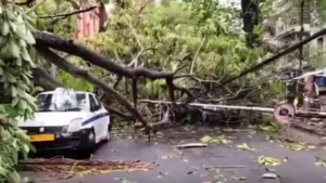 Weather Alert: काल बैसाखी और बिजली गिरने से मचा तांडव; मृतकों के परिजनों के लिए मुआवजे का ऐलान