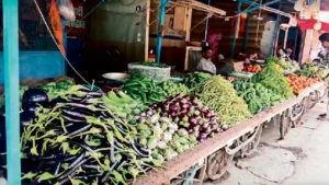 Vegetable Price Hike: मालवा-निमाड़ में सब्जियों के दाम आसमान पर; पेट्रोल-डीजल की महंगाई ने बिगाड़ा आम आदमी का बजट
