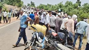 Bhopal News: भोपाल के अयोध्या बायपास पर दिनदहाड़े वन संपदा की लूट; काटे गए पेड़ों की कीमती लकड़ियां चोरी
