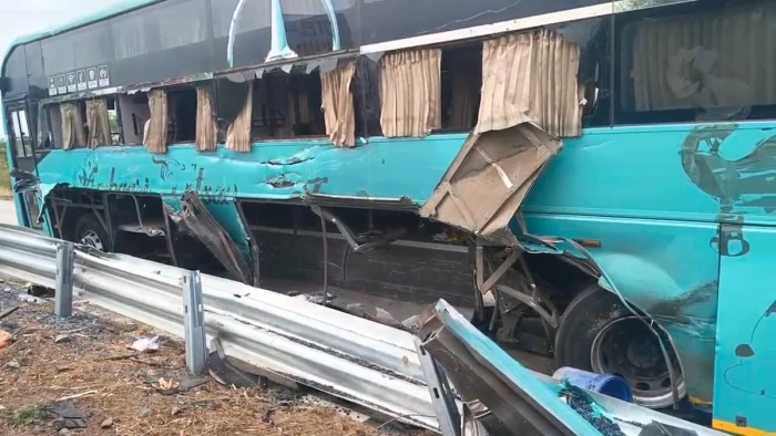 Narsinghpur Bus Accident: इंदौर से सीधी जा रही बस नरसिंहपुर में पलटी; नीलगाय को बचाने के चक्कर में हादसा, 36 यात्री बाल-बाल बचे