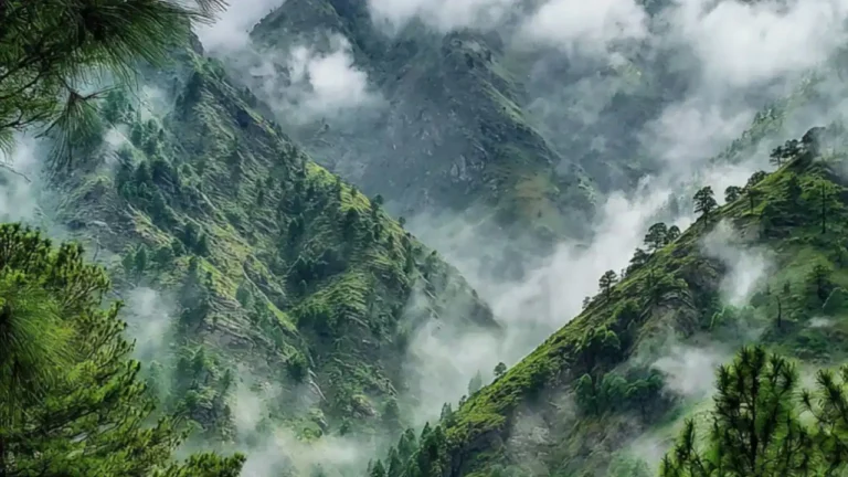 Background