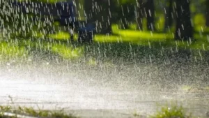 Chhattisgarh Monsoon 2026: केरल में 26 मई को ही दस्तक देगा मानसून; जानें छत्तीसगढ़ में कब होगी पहली बारिश