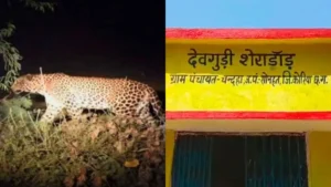 CG News: तेंदुए और हाथियों के हमले में दो की मौत; MCB और कोरिया में दहशत, वन विभाग की लापरवाही पर फूटा गुस्सा