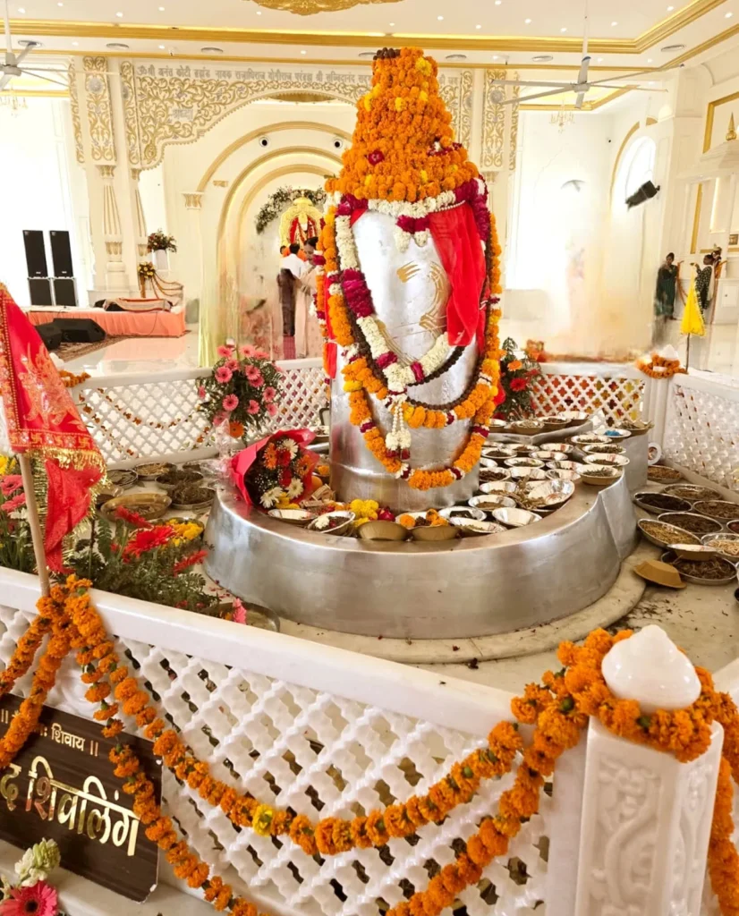 Haridwar Parad Shivling: हरिद्वार में 5,211 किलो के विशाल पारद शिवलिंग की प्राण प्रतिष्ठा, उमड़े हजारों भक्त