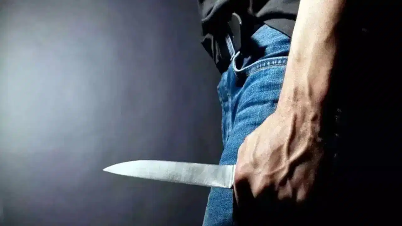 Doctor Kills Domestic Help: दिल्ली के पॉश इलाके में सनसनी; डॉक्टर के घर काम करने वाली महिला की हत्या, पुलिस हिरासत में आरोपी