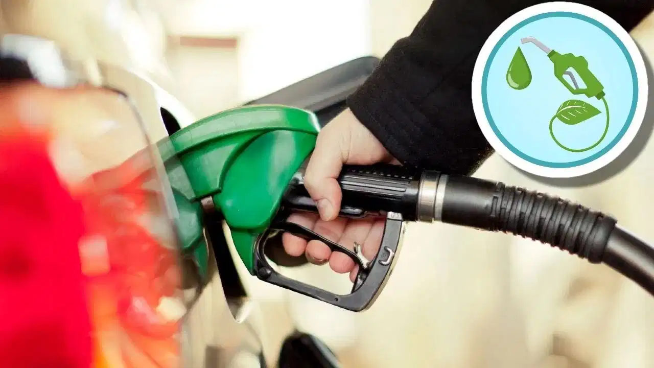 Ethanol Blending News: पेट्रोल होगा सस्ता! E22-E30 फ्यूल पर सरकार ने खत्म की एक्साइज ड्यूटी, जानें क्या होगा फायदा
