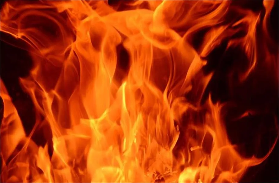 Major Fire in Ludhiana: फैक्ट्री में लगी भीषण आग; कर्मचारियों को सुरक्षित निकाला गया, शॉर्ट सर्किट की आशंका