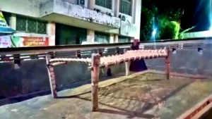 Jamtara News: एंबुलेंस न मिलने पर ट्रैक्टर पर अस्पताल ले जाना पड़ा मरीज, इलाज के दौरान हुई मौत